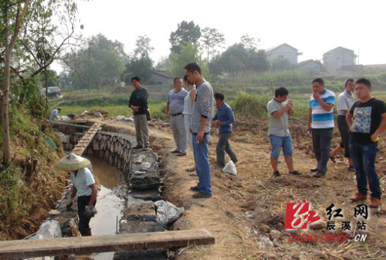 ��Ϫ��ũҵ�ۺϿ�����Ŀ�ݼ�4000����Ⱥ��