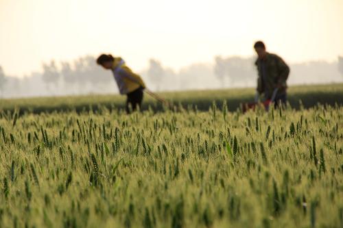 5��5�գ�����ʡ�������ڻ��سǹ���ũ����������������