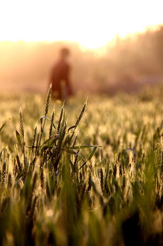 5��5�գ�ɽ�����ݸ���������ֵ�ũ�������ܻ�С��