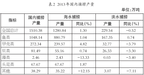 2013����ڲ��̲���