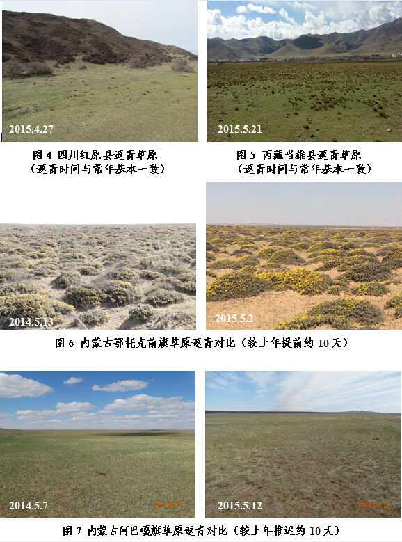 ����ԭ�������ļ�⴦���壩