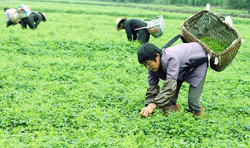 â�ֵ� ũ��æ