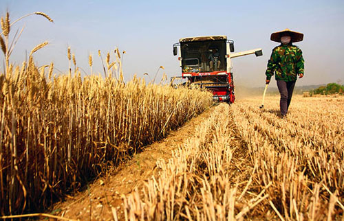 6��6�գ�ɽ��ʡ��ׯ��ɽͤ��ɽ�ǽֵ�ũ�����������ո��������ո�С��