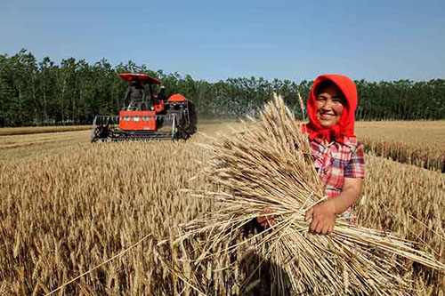 6��6�գ�����ʡ���Ƹ��и�������ɽ����ݴ�ũ�����������ջ�С��