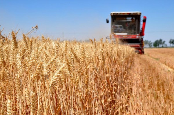 ȫ�������ջ��ѹ��˳�