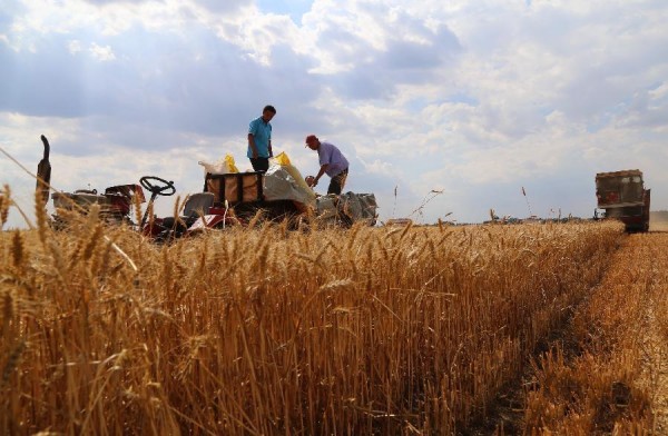 6��11�գ��ںӱ����ݲ�ͷ��Ŀ���ڣ��ո�����ո�С��