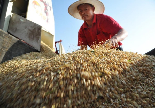 ɽ��ʡ��ׯ��ɽͤ����ׯ��ũ����ո����ж���ջ��С��6��5���㣩��