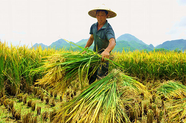 7��7�գ������������ó��سǹ����Ӵ�ũ���������絾��