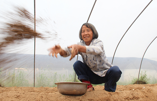 7��7�գ����������������ػ�ͤ�����߷�������ڴ����ڲ����������ӡ�