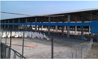 �����+ũҵ�������ѧ��Ӧ2