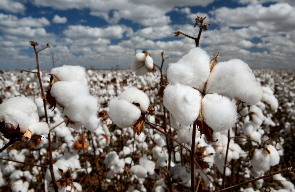 �޻���Ҫû���� �����⻼������