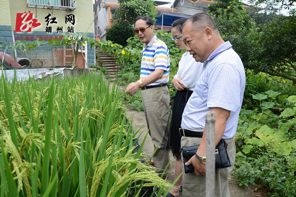 �Ž���ָ������