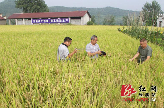 ������Ա�ڵ���������