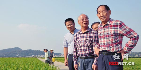 (Ԭ¡ƽԺʿ���ң��鿴�������������)