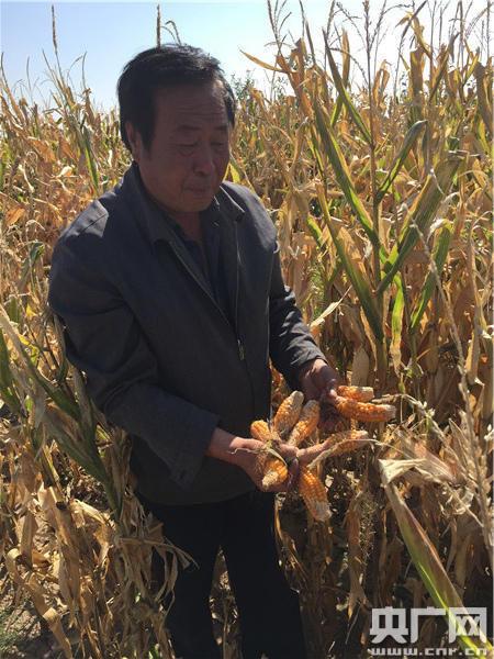 ����һ����ץ�ü������װ���