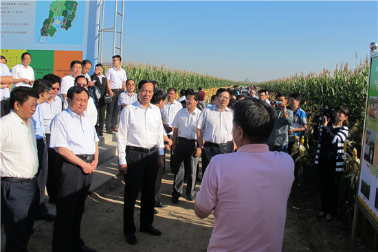 С������������ɫ������Ч����ģʽʵ�֡��ְ�����2