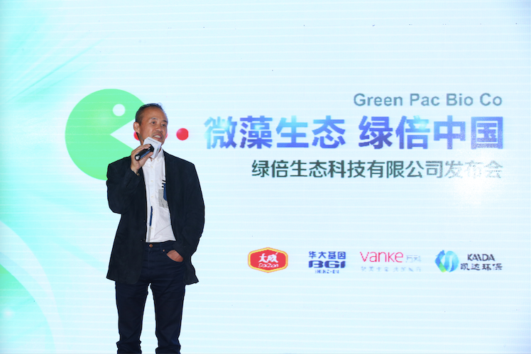 ��Ƽ��Ŷ��¾���ϯ��ʯ