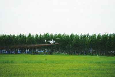 ������ҵ