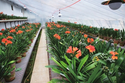 ������������