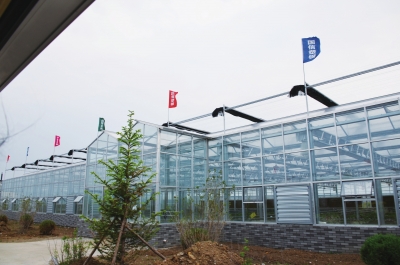 �����ִ�ũҵ�Ƽ�����