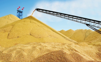 ��ʳ����