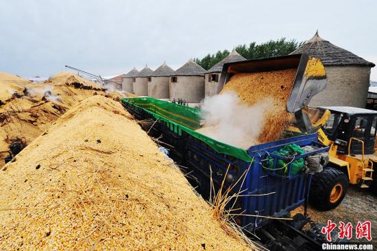 �й���ʳ�����¸� ��ʳ�ֽ���֯����ר����