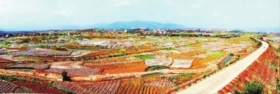 �������ĸ���������