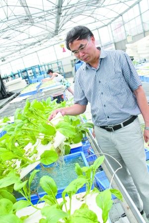 ����Զ��ʵ����������ɳ������