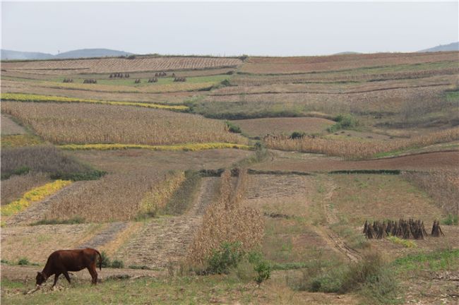 ��������ʢ԰�����޹�˾�仧������ˮ������壬��ת����5000Ķ��չǧĶ⨺��Ҳ�ҵ�ֳ�