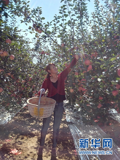 ����36��Ķƻ��ͳһ������׼ ���߹ؿ�ǰ�������ִ�ũҵ