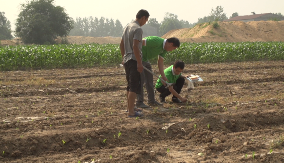 ��ũ����ũ�塰���͡��ǵ�ϣ�����