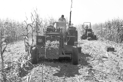 �ո��ۺ����ã��һ���һ��ũҵ