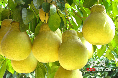 �����С���Ȼ��ͷ�������Ľ������֣�