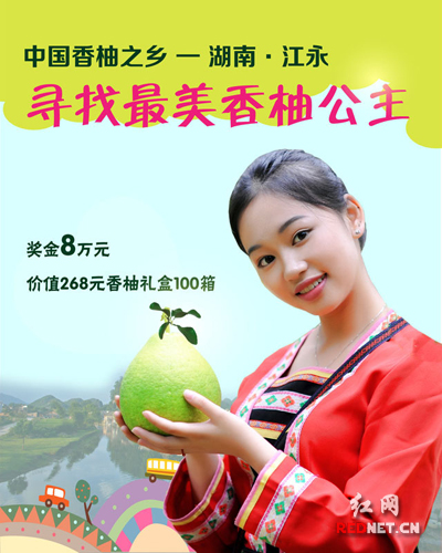 ����Ѱ���������ֹ�����ѡ��������������