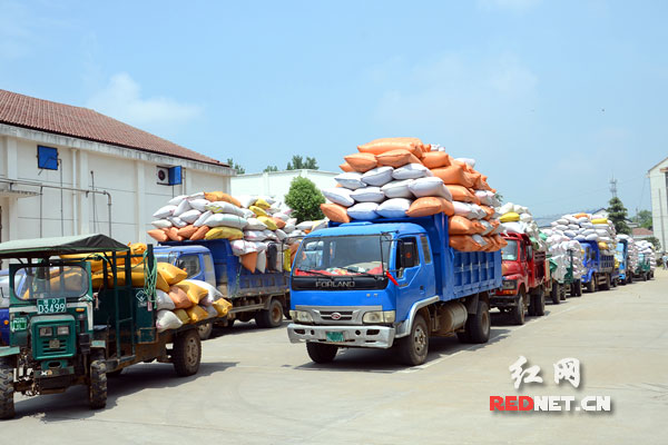 (�������Ի������ʩ��ʵʩ��ũ������������Խ��Խ�ߡ�)