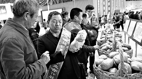 ¥��ƺ�������������ι��߽�������