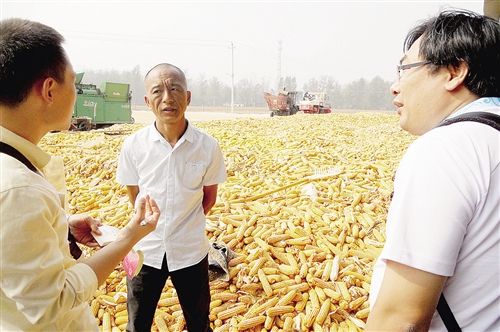 ���ҹ���ũ��ʹ�ÿ�ѧ������ ÿ��ɰ�ũ����ٴ�����ʧ25�ڽ�����