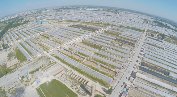 10��23�գ��������ϰ������ƽ�ִ���ʩũҵʾ��԰���� 