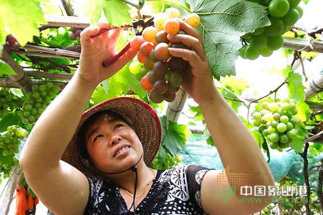 �������ˣ�ũ�����ˡ�