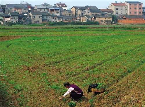 ũ���Ȩ�ƶȸĸ�Ϊ��λ