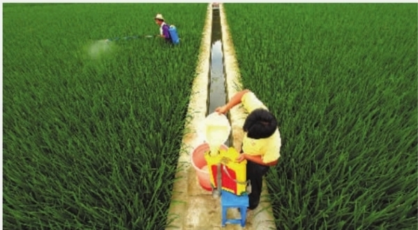 �ִ�ũҵ�Ȳ���չ ũ���˾���֧�����볬��Ԫ