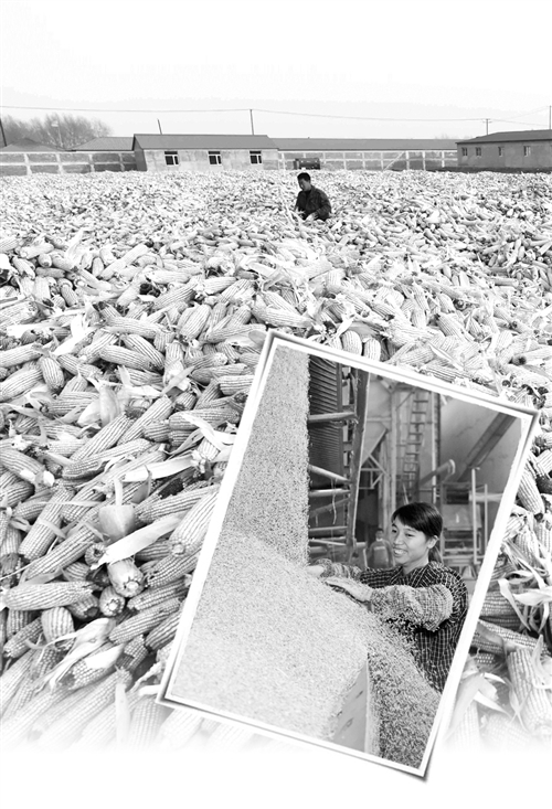 ����ũ���������������½� ũ����ʳ��������ú�