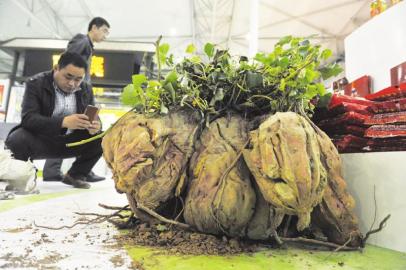 11��18�գ��ɶ����»�չ���ģ�һ���ش�198��ĺ�������עĿ��