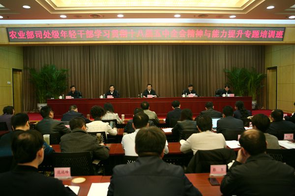 ��������Ҫ���Ρ��ĸ����ӡ� ������������ˮƽ