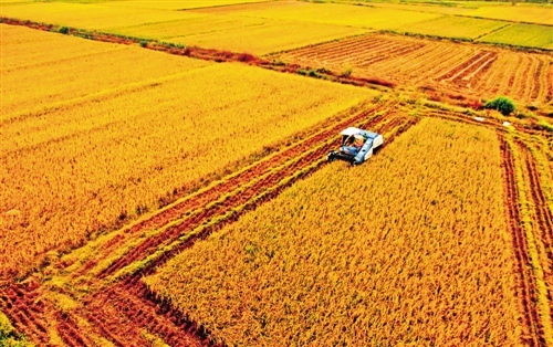 ʮ����ĩ��ʳȱ��2000�ڽ� ������������Ҫ����