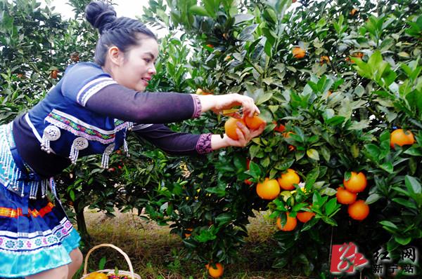 ���й����������~ɽ��Ƚڡ��߿�԰��ժ��ʽ�ֳ���