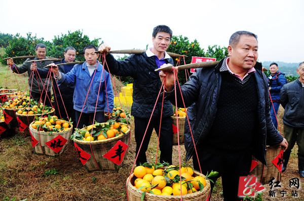 ���й����������~ɽ��Ƚڡ��߿�԰��ժ��ʽ�ֳ�