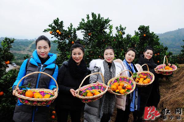 ���й����������~ɽ��Ƚڡ��߿�԰��ժ��ʽ�ֳ�