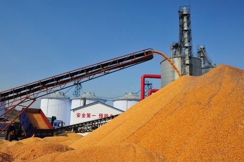 2015��11��05�գ�������ʡĵ�����У�������ʡ�ֿ��ع�����ʳ�����������մ�ũ���۵����ס�