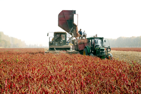 ȫ��ũ�����ۺϻ�е��ˮƽԤ�ƽ��곬��62%